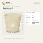 Pogo Pine Indoor Pot – 12 Inch – size and details