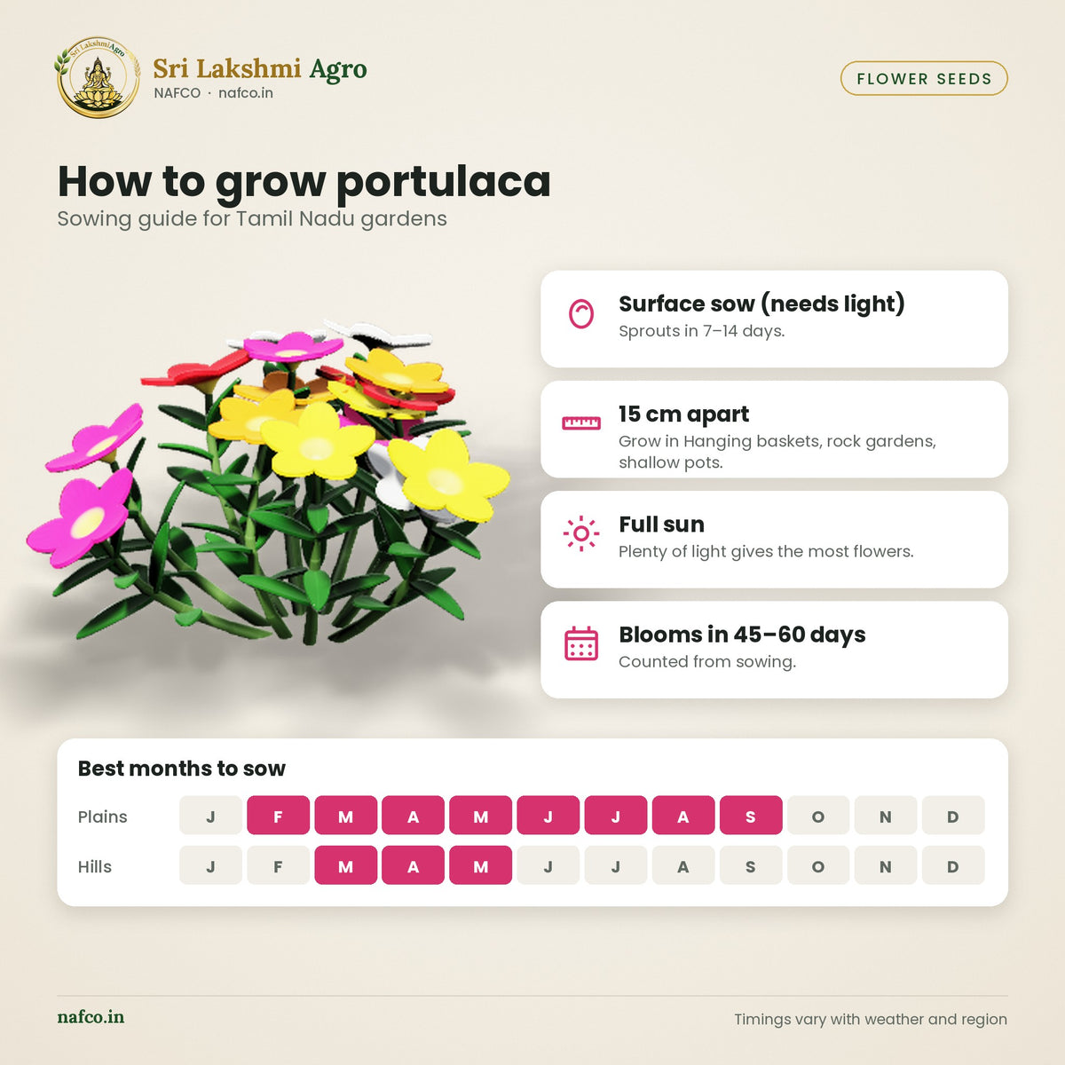 Portulaca (Pathu Mani Poo) Seeds – Mixed Colours – sowing guide