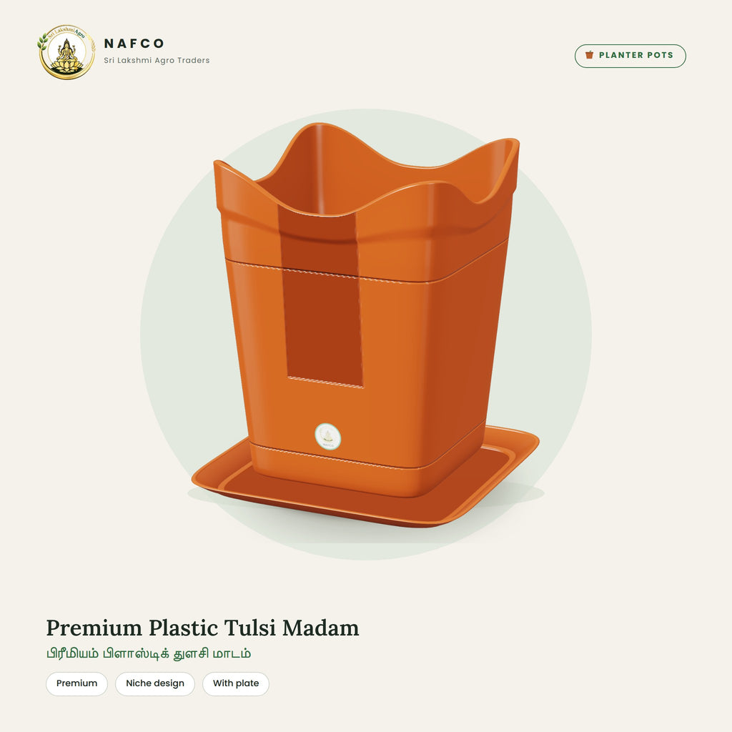 Premium Plastic Tulsi Madam