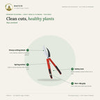 Pruning Scissors – Fruit Trees & Flowers – features