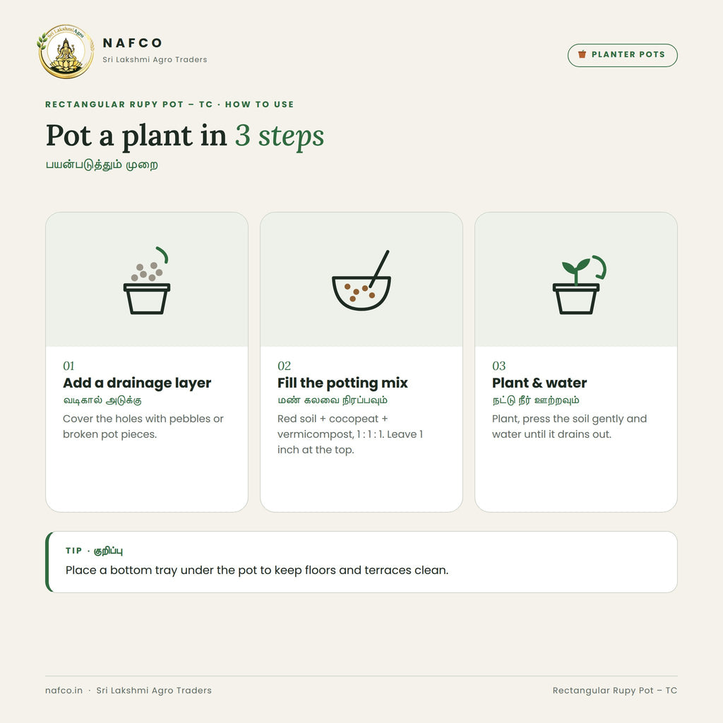 Rectangular Rupy Pot – TC – how to use