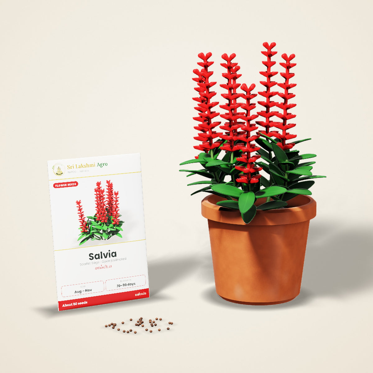 Salvia Seeds – Scarlet Red