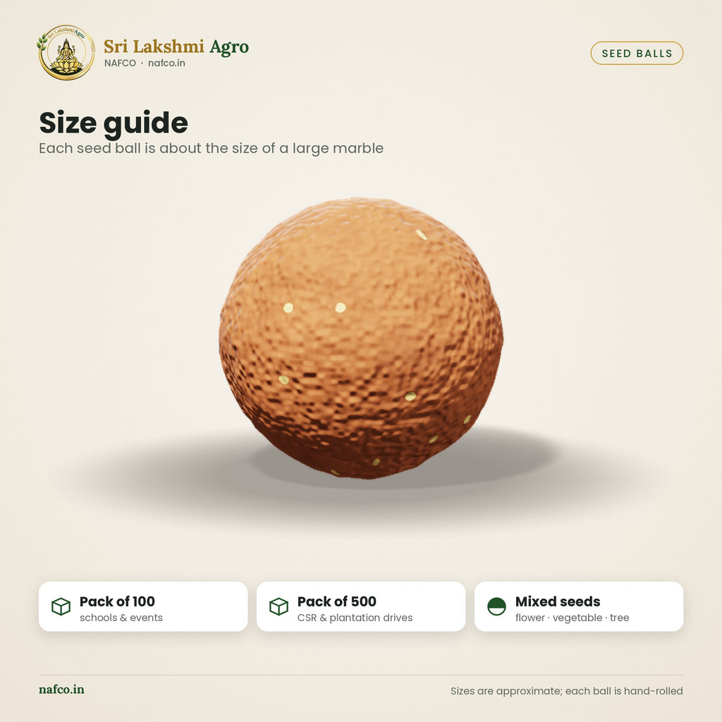 Seed Balls – Bulk Pack (100 / 500) – size guide