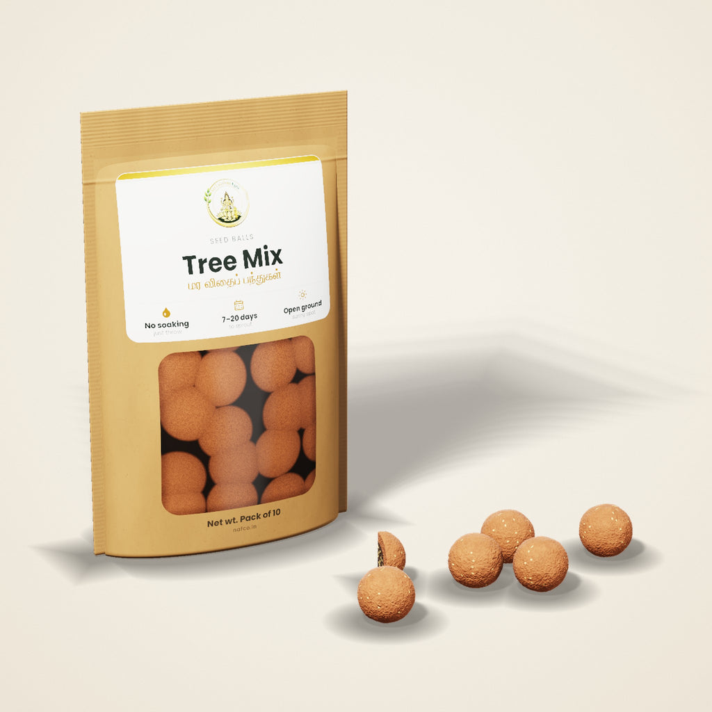 Seed Balls – Tree Mix