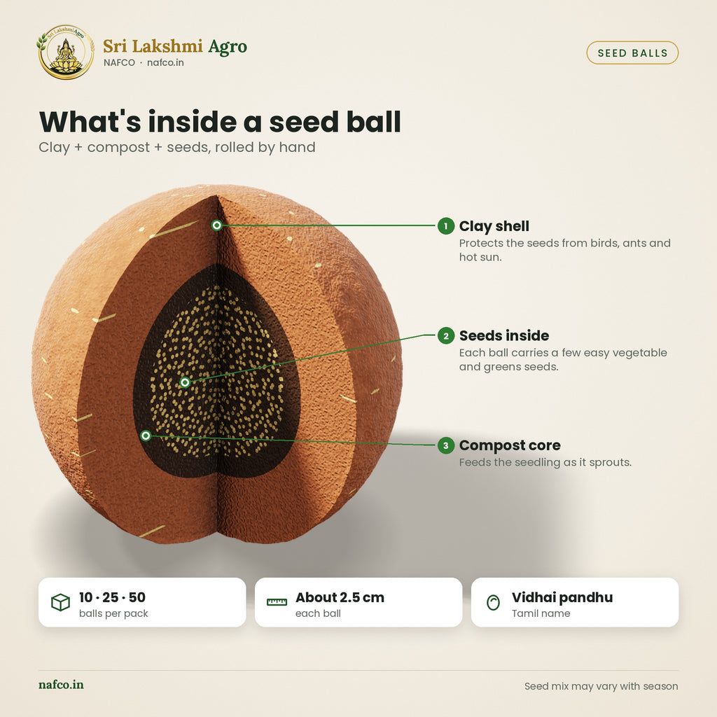 Seed Balls – Vegetable Mix – features