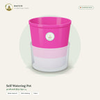 Self Watering Pot