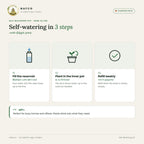 Self Watering Pot – how to use