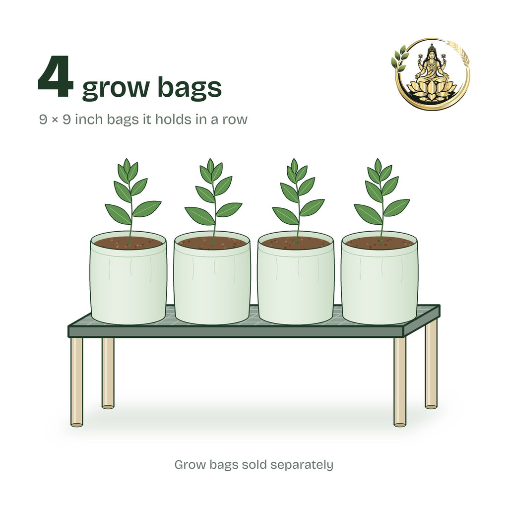 Single-tier plant stand holding four 9 × 9 inch grow bags with young plants