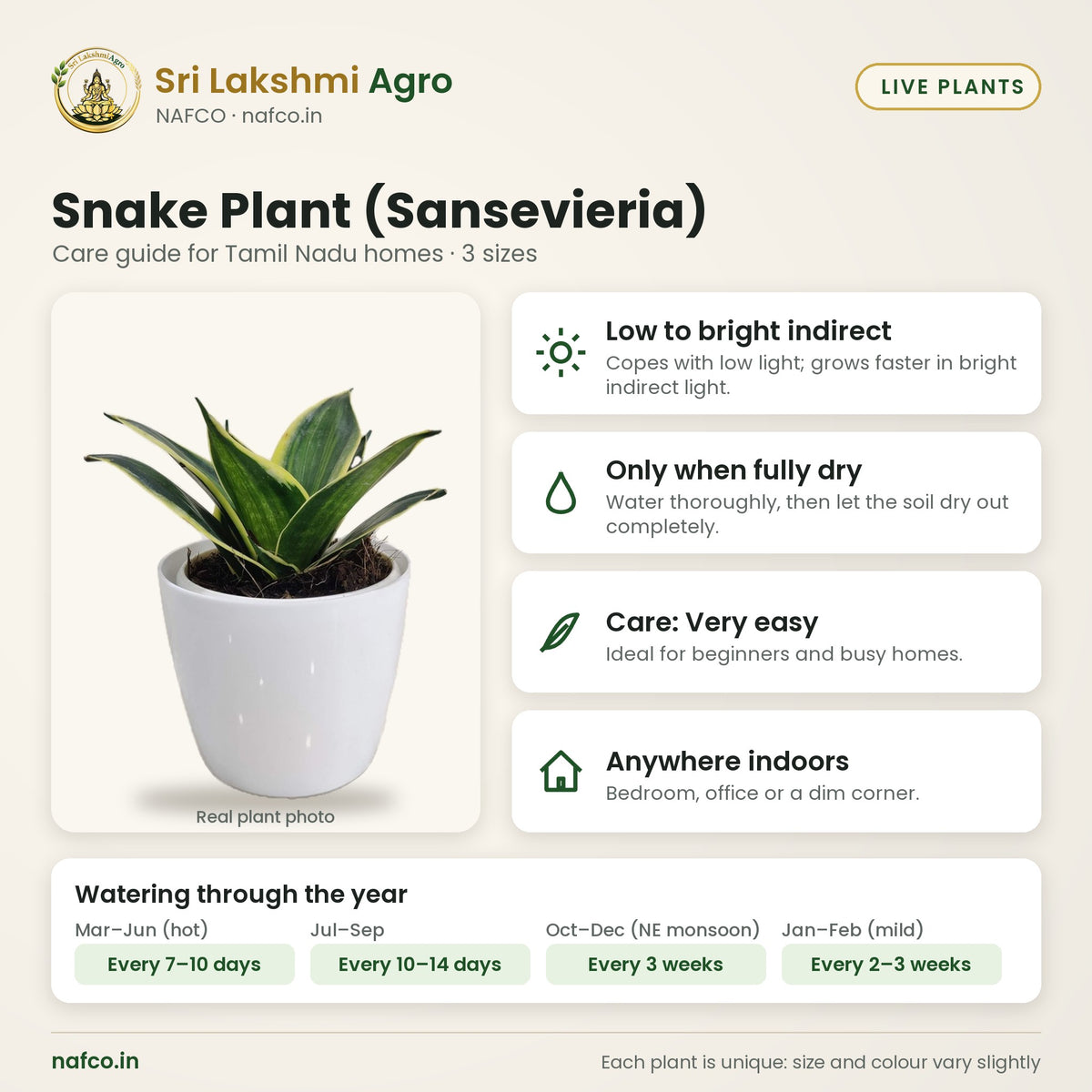 Snake Plant (Sansevieria) care guide: low to bright indirect; water only when fully dry; care very easy; best spot anywhere indoors