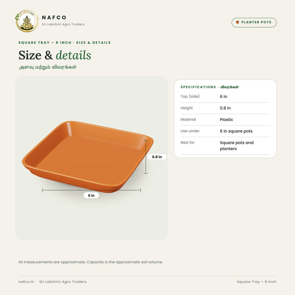 Square Tray – 6 Inch – size and details