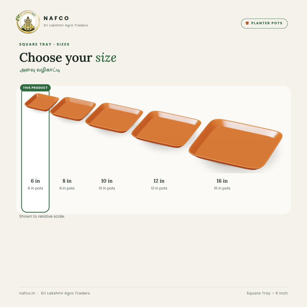 Square Tray – 6 Inch – size guide