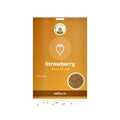 Strawberry Seeds: Sri Lakshmi Agro seed packet with a window showing the seeds