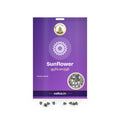 Sunflower Seeds: Sri Lakshmi Agro seed packet with a window showing the seeds