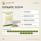 Sunhemp (Sanappu) Green Manure Seeds – sowing guide