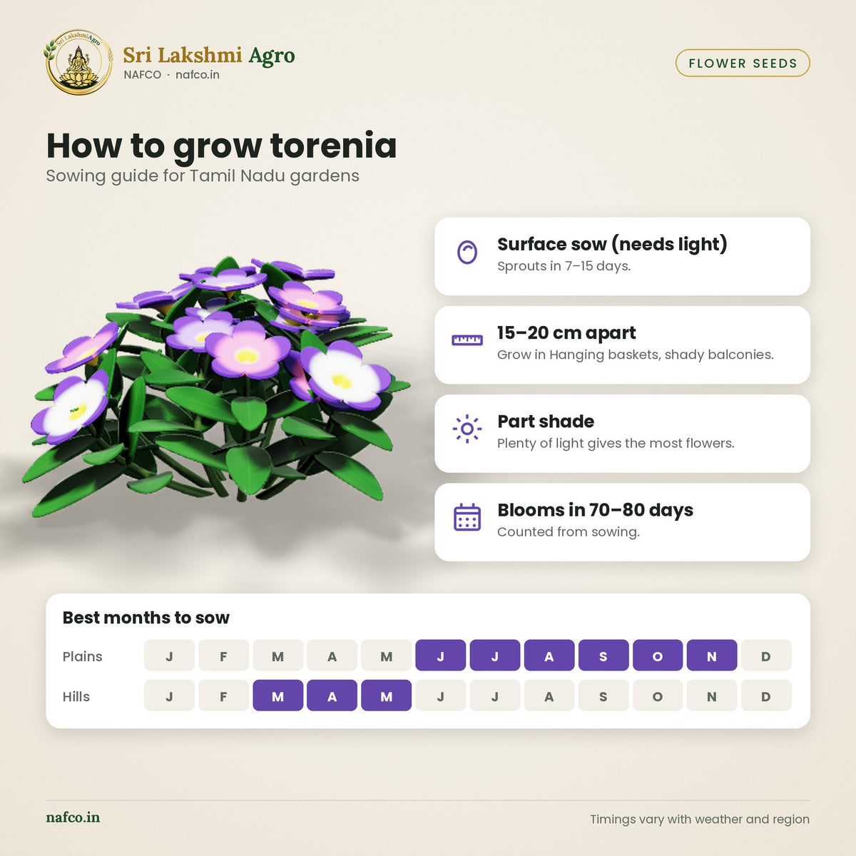 Torenia Seeds – Mixed Colours – sowing guide