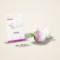 Turnip Seeds – Purple Top White Globe