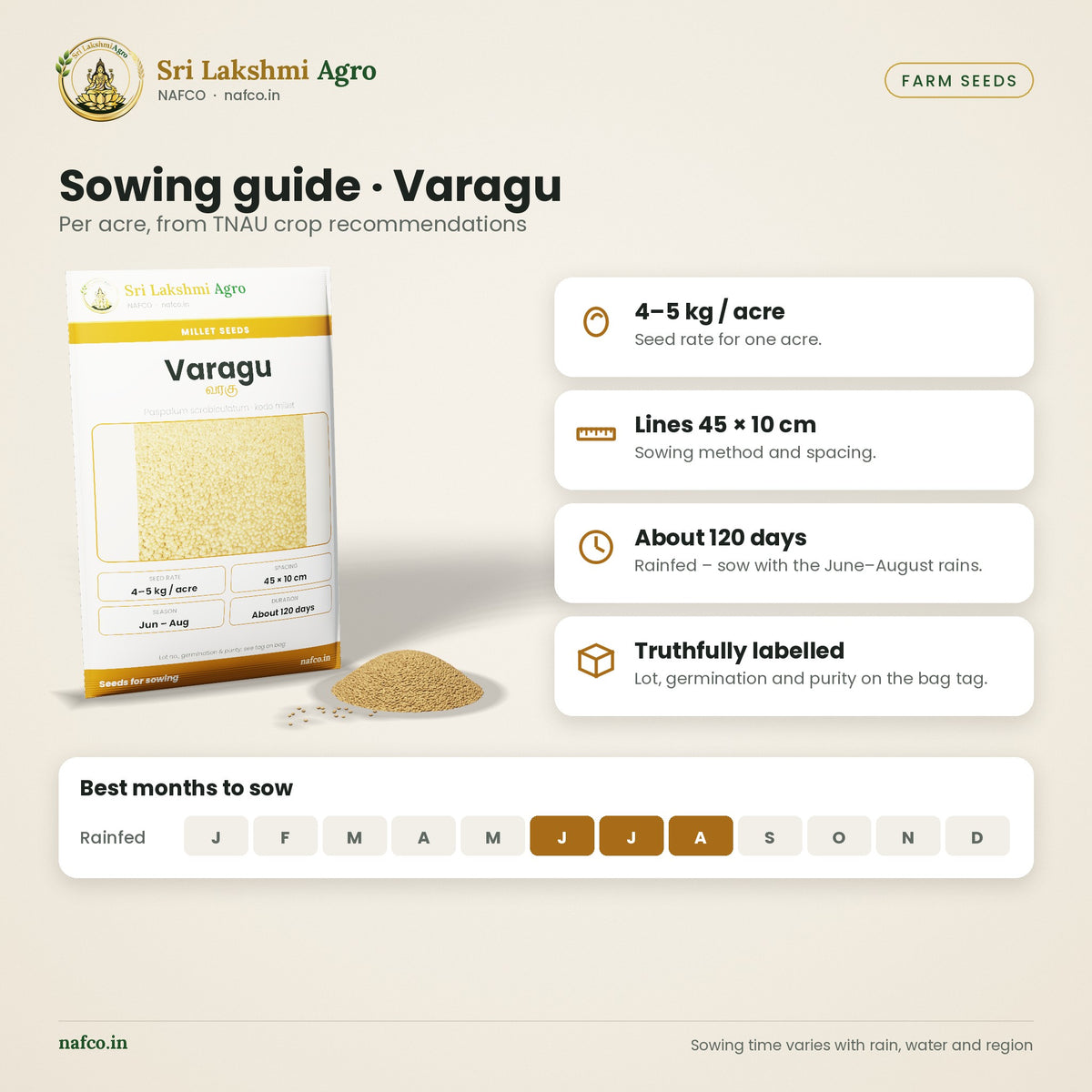 Varagu (Kodo Millet) Seeds for Sowing – sowing guide