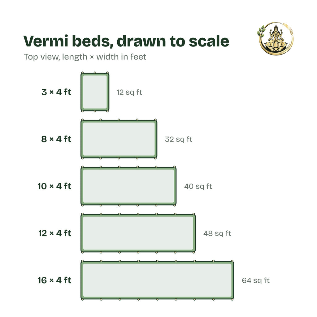 Top-view chart comparing the five vermi bed sizes, from 3 × 4 ft to 16 × 4 ft, drawn to scale