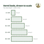 Top-view chart comparing the five vermi bed sizes, from 3 × 4 ft to 16 × 4 ft, drawn to scale