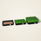 Wheatgrass Growing Tray – 12 × 9 inch (Set of 3)