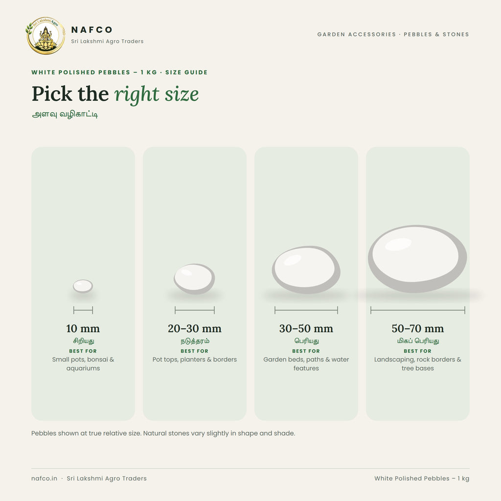 White Polished Pebbles – 1 kg – size guide