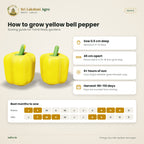 Yellow Bell Pepper Seeds – Golden California Wonder – sowing guide