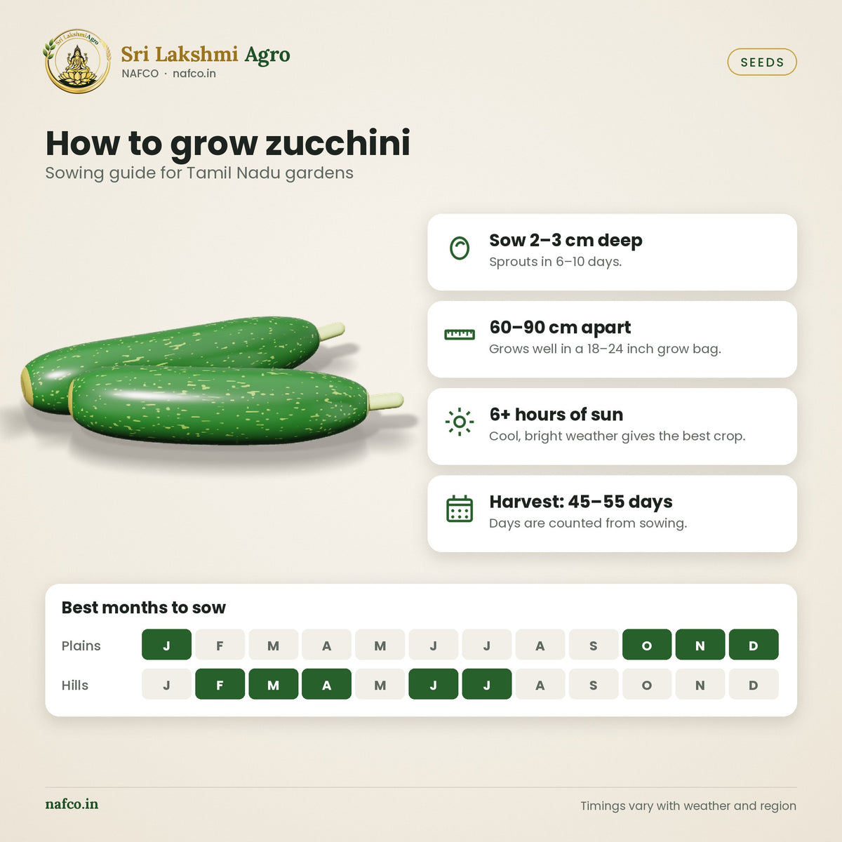 Zucchini Seeds – Dark Green – sowing guide